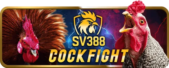 Hỗ trợ khách hàng 24/7 8kbet game